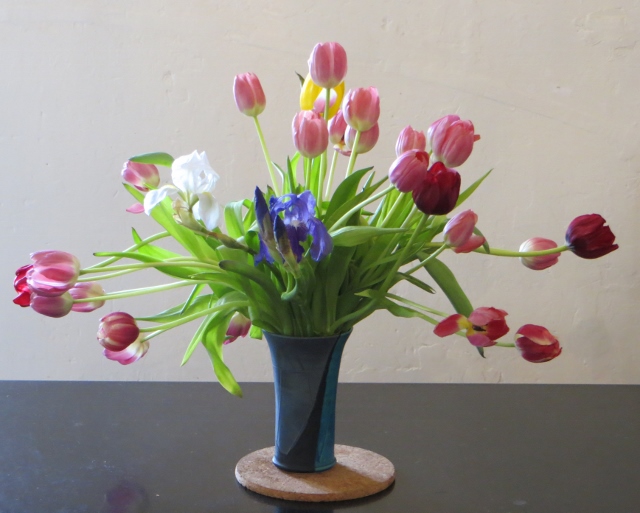 Tulips (640x513).jpg